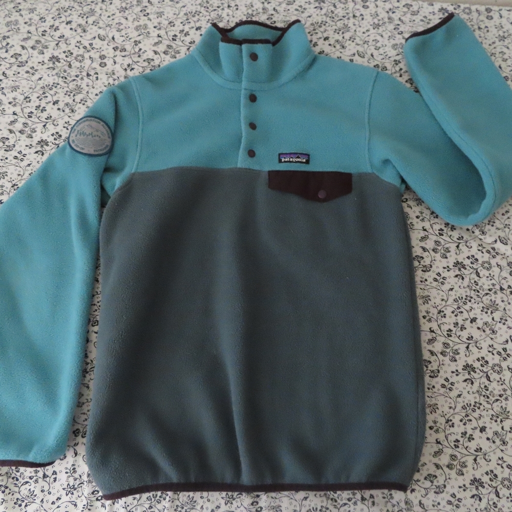 SOLD -RARE Patagonia Women's Lightweight Synchilla Fleece Pullover Colorblock XS